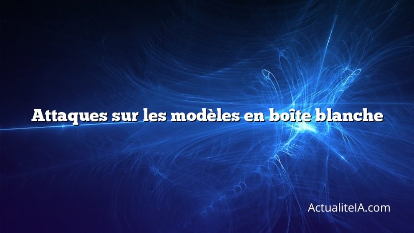 Attaques sur les modèles en boîte blanche